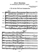 Zwei Motetten, Op. 29