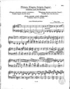 'Weinen, Klagen, Sorgen, Zagen': Präludium nach Joh.Seb.Bach, S. 179, R. 23