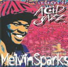 Legends of Acid Jazz: Melvin Sparks