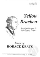 Yellow Bracken