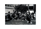 Pauline Hillaire (third from right) teaching song and dance to the Children of the Setting Sun Dancers, Northwest Indian College; Masks carved by Scott Jensen, c. 1995