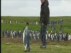 World in the Mirror, The Falklands